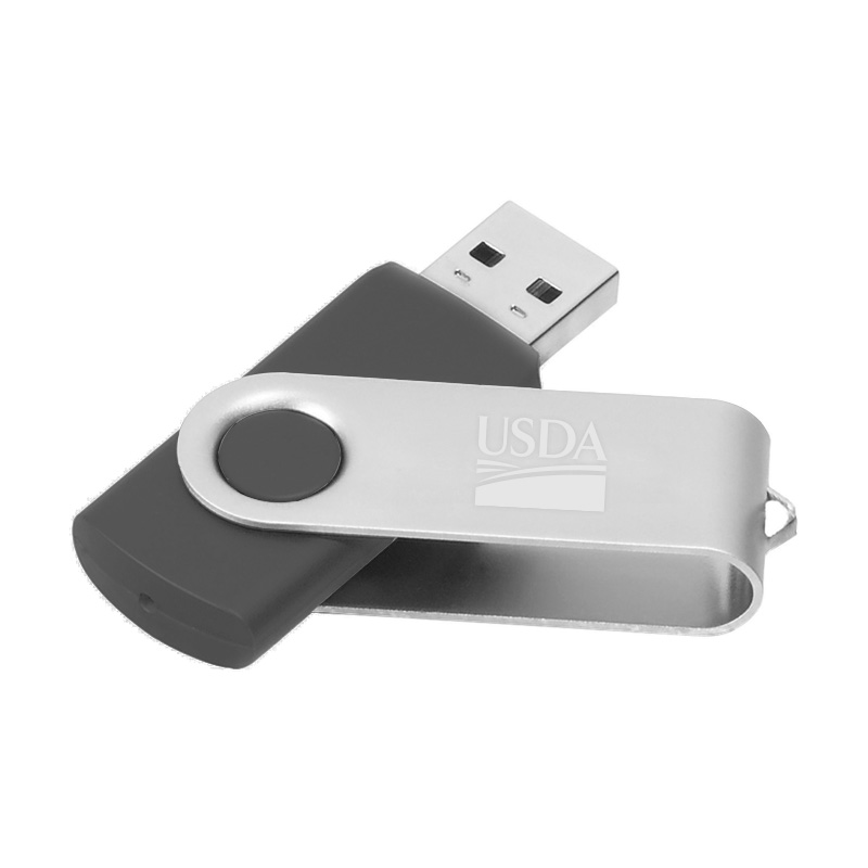 2 GB Flash Drives