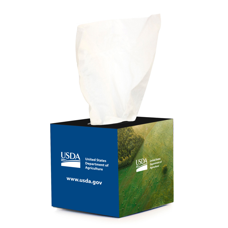 Tissue Boxes, 30-pack