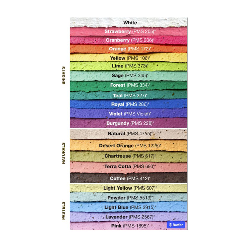 seed paper color choices: white, strawberry, cranberry, orange, yellow, lime, sage, forest, teal, royal blue, violet, burgundy, natural, desert orange, chartreuse, terra cotta, coffee, light yellow, powder blue, light blue, lavender, pink