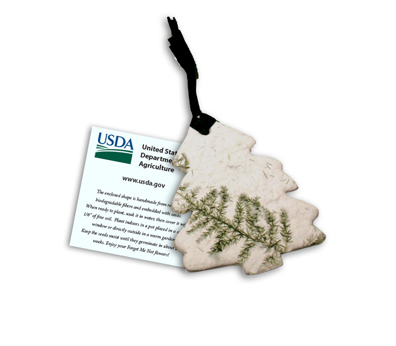pine tree shaped seed cards
