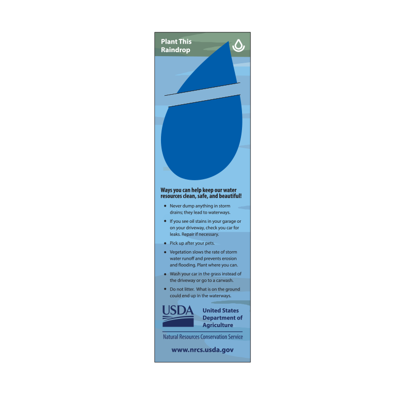 Bookmarks, Seed Paper raindrop,bookmarks,wildflowers,miusa
